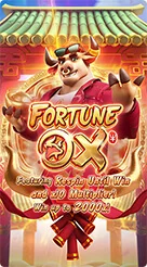 z18 · Fortune Ox